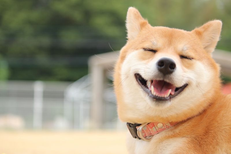 動物病院14